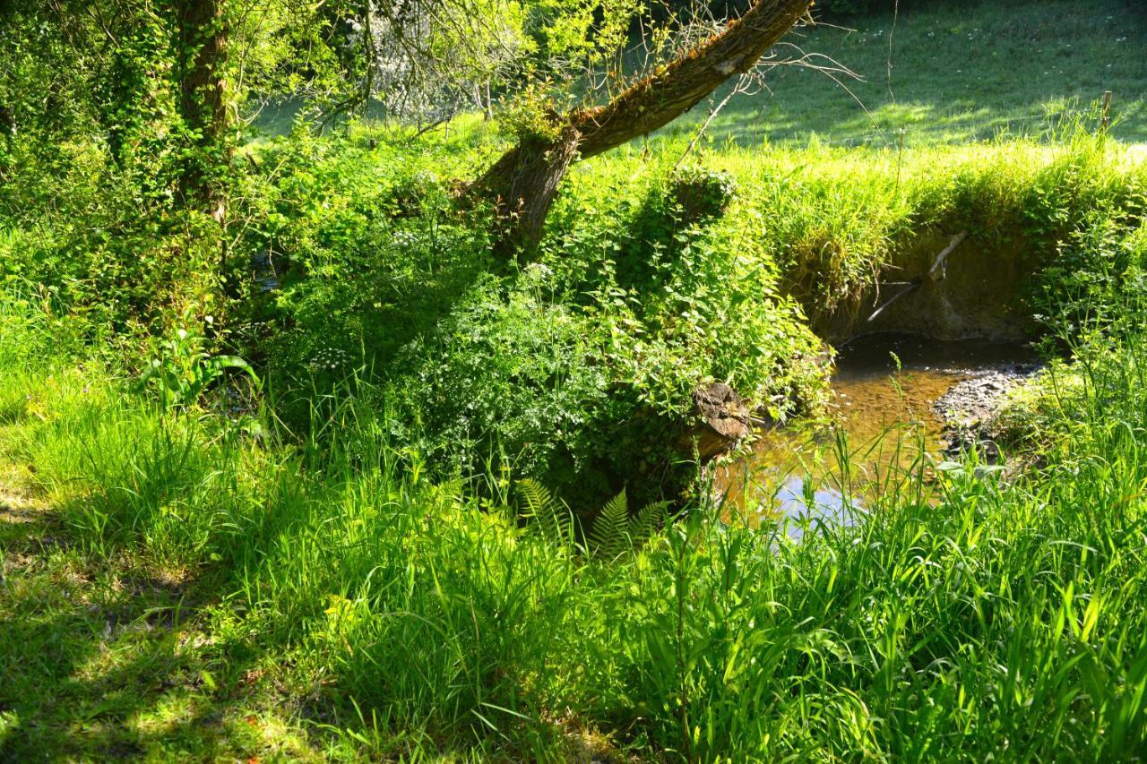Le Domaine Du Pont Canon Plourivo Exterior photo